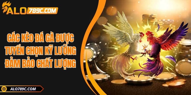 Các kèo đá gà được tuyển chọn kỹ lưỡng đảm bảo chất lượng